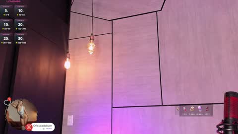 A D D I S O N  online show from 12-30-24, 10:55