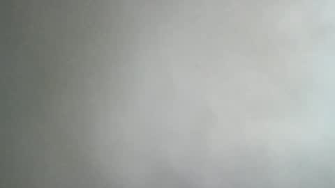 Snapshot of adi2019 chatting on 01-08-25, 11:54 adi2019 online show from 01-08-25, 11:54