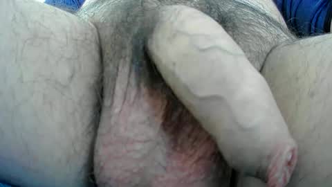 Snapshot of adi2019 chatting on 01-13-25, 01:17 adi2019 online show from 01-13-25, 01:17