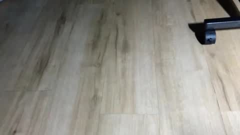 adoniczk online show from 01-11-26, 09:25