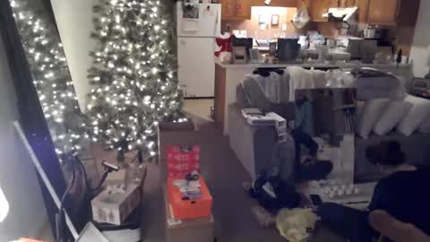 Snapshot of adorable22 chatting on 12-20-24, 10:22 adorable22 online show from 12-20-24, 10:22