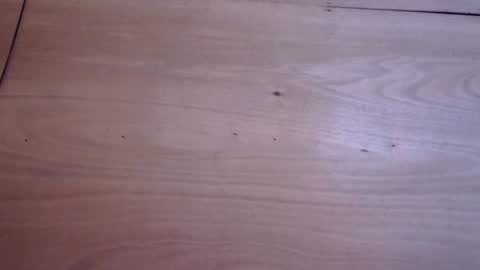 jasmine cum for u online show from 08-02-26, 06:56
