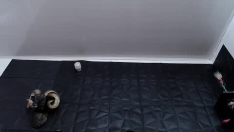  Miss Agata  online show from 01-07-26, 07:38