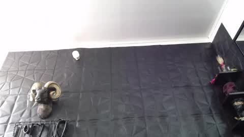  Miss Agata  online show from 05-25-26, 03:29