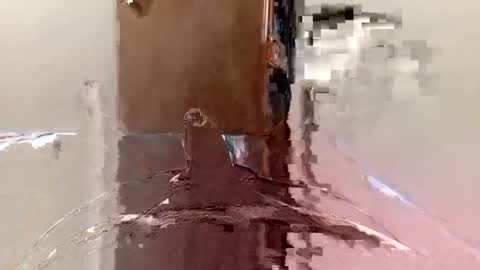 Snapshot of agoodsatyr chatting on 02-22-25, 05:57 A Good Satyr online show from 02-22-25, 05:57