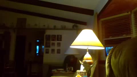 aguynrkfrd online show from 01-02-25, 11:41