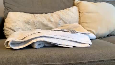 canadianboy92 online show from 11-06-25, 04:52