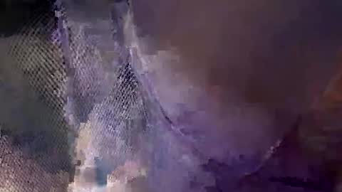 Snapshot of aj297914 chatting on 10-18-25, 05:54 aj297914 online show from 10-18-25, 05:54