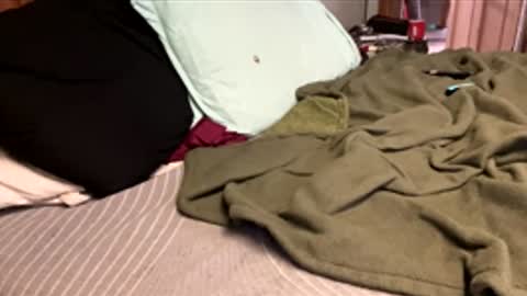 Snapshot of ajb5187517 chatting on 01-05-26, 05:49 ajb5187517 online show from 01-05-26, 05:49