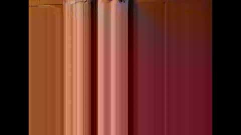 akbull907 online show from 01-23-25, 07:43