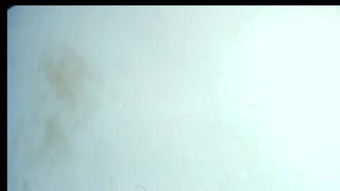 alahia66 online show from 04-21-26, 02:56