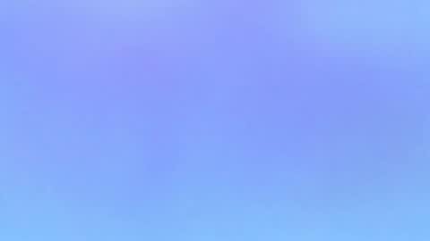 Alaia online show from 11-01-25, 10:01