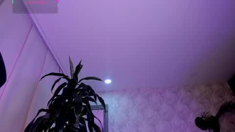 Snapshot of alaiaguerra chatting on 05-05-26, 08:06 alaiaguerra online show from 05-05-26, 08:06