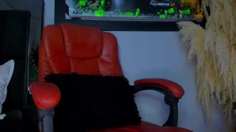 Snapshot of aleja_rogers996 chatting on 12-01-24, 07:47 Alejandra online show from 12-01-24, 07:47