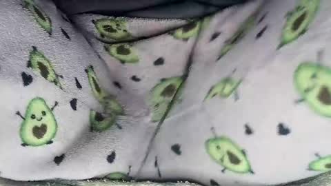 Alejandra online show from 06-29-26, 11:38