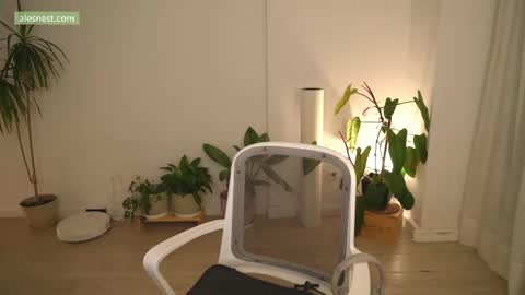 Ale online show from 04-12-26, 11:10