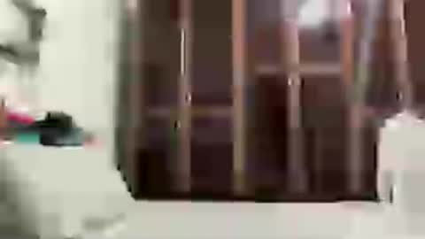 alessandromori91 online show from 06-15-26, 12:13