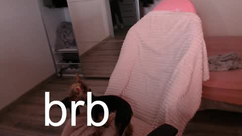 Snapshot of alex_gotcha chatting on 09-21-25, 09:27 Alex online show from 09-21-25, 09:27