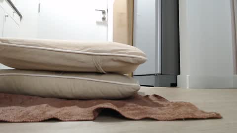 Nicha online show from 10-18-25, 03:20