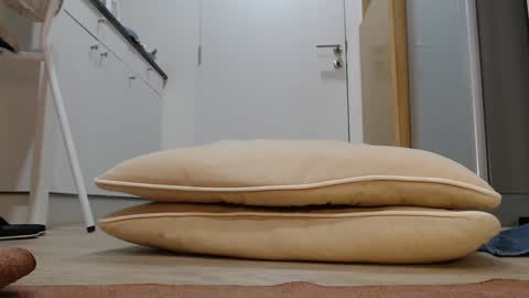 Nicha online show from 11-05-25, 03:06