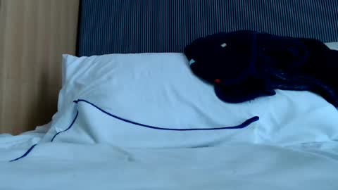 Snapshot of alex_nicha chatting on 06-13-26, 06:33 Nicha online show from 06-13-26, 06:33