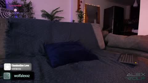 Snapshot of alex_wolf__ chatting on 01-16-25, 02:41 Alex Wolf online show from 01-16-25, 02:41