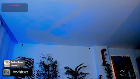 Snapshot of alex_wolf__ chatting on 01-17-25, 05:21 Alex Wolf online show from 01-17-25, 05:21