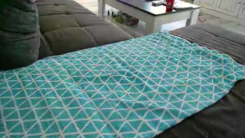 Snapshot of alexfresh84 chatting on 12-24-24, 11:49 Doggystyle online show from 12-24-24, 11:49