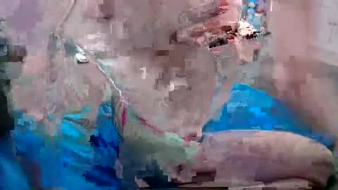 Snapshot of alexfresh84 chatting on 12-25-24, 06:52 Doggystyle online show from 12-25-24, 06:52