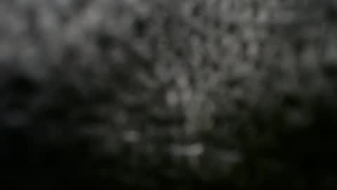 Snapshot of alexfresh84 chatting on 03-08-25, 12:11 Doggystyle online show from 03-08-25, 12:11