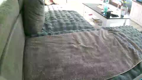 Snapshot of alexfresh84 chatting on 01-10-26, 10:17 Doggystyle online show from 01-10-26, 10:17