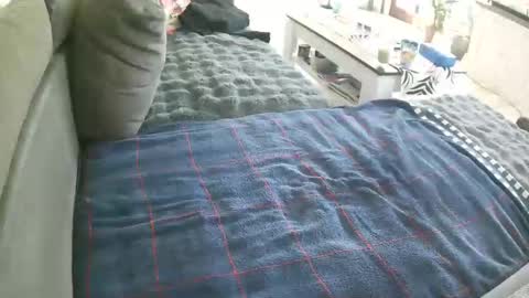 Doggystyle online show from 05-02-26, 08:41