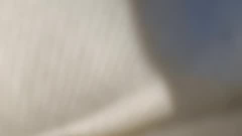 Tooti00 online show from 05-19-26, 06:14