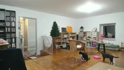 Snapshot of alice8363 chatting on 12-06-24, 05:53 Alice online show from 12-06-24, 05:53