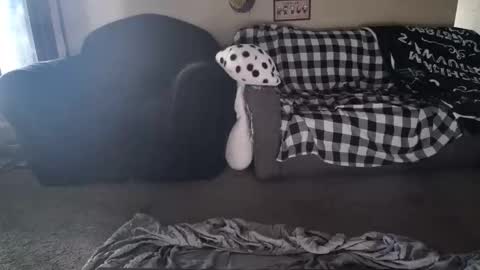alice_leray online show from 05-26-26, 10:50