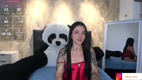 Snapshot of alice_rose5 chatting on 10-04-25, 03:26 Alice online show from 10-04-25, 03:26