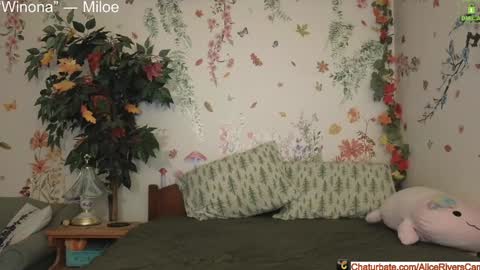 Alice Rivers ---- Enter my public Discord-  online show from 12-17-24, 09:16