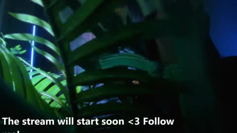 Snapshot of alicia_x_art chatting on 12-02-24, 05:26 Alicia Lici  online show from 12-02-24, 05:26