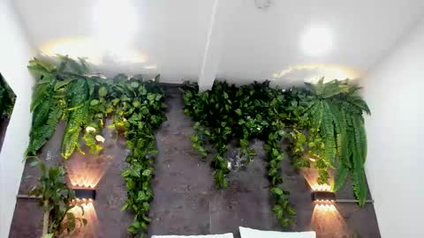 Alice online show from 02-01-26, 06:17