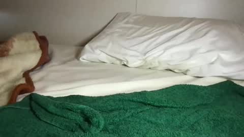 Ali Roxy online show from 10-16-25, 03:02