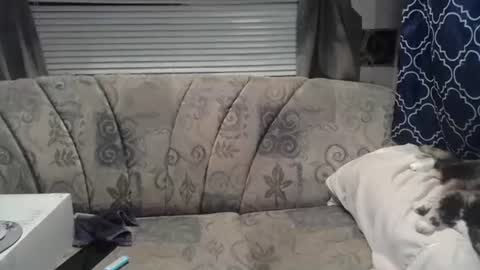 Alisha online show from 07-22-26, 03:09