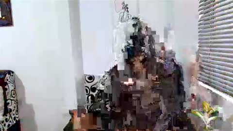 Alisonturbay online show from 04-15-26, 12:23