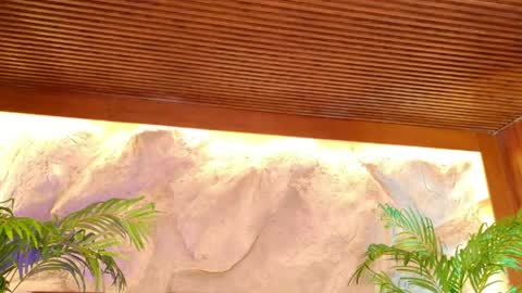 Alison Moon  online show from 05-13-26, 11:22