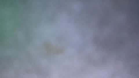 all_most_sane online show from 05-17-26, 03:30
