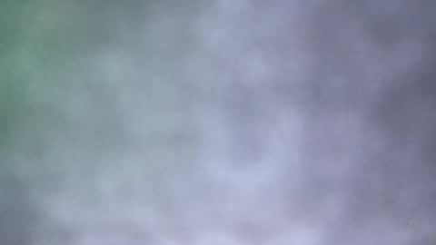 all_most_sane online show from 05-18-26, 04:02