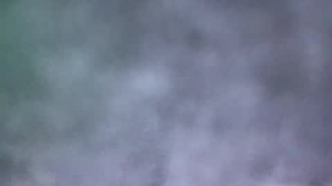all_most_sane online show from 05-19-26, 04:02