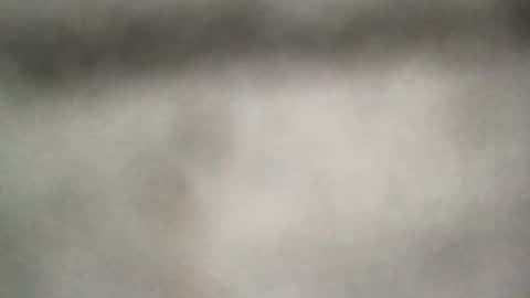 all_most_sane online show from 06-25-26, 06:34