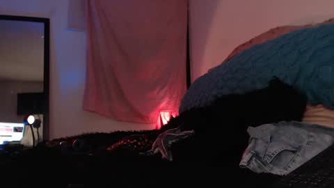 Ally online show from 02-16-25, 12:52