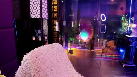 Alma online show from 06-26-26, 05:45