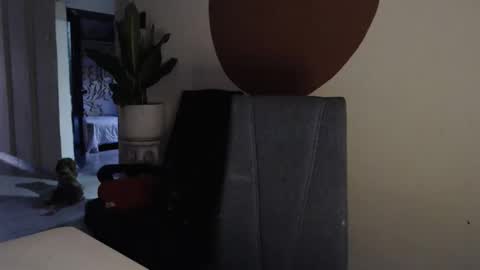 Snapshot of alogenotwink chatting on 12-17-25, 11:27 STEPHAN online show from 12-17-25, 11:27